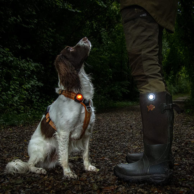 Orbiloc, safety light for dog collars white - BeesActive Australia