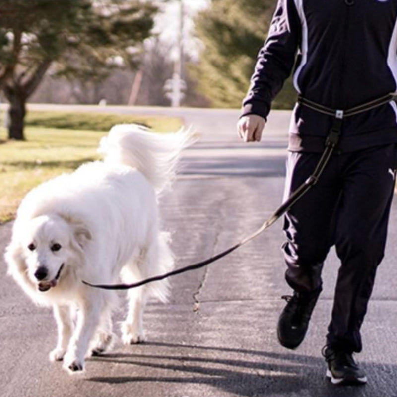 Caldwell's Pet Supply Co. Hands-Free Dog Leash, Adjustable Waist Leash for Dog Walking, Non-Bungee, Hands Free Harness, Durable and Versatile Waist Belt Leashes, Cross Body for Dogs (26" - 47") - BeesActive Australia