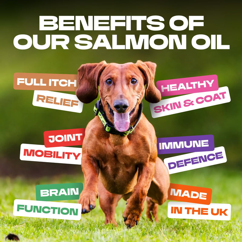 Scottish Salmon Oil For Dogs UK & Cats 1L Omega 3 6 9 Pet Supplement Dog Food Topper For Itchy Dog Skin Coat, Heart, Joint Support & Natural & Healthy Coat - Fish Oil For Dogs, Puppy 1000ml