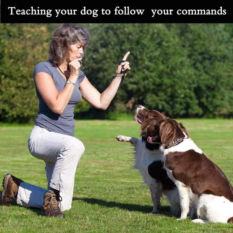 Dog Whistle to Stop Barking, Adjustable Pitch Ultrasonic Training Tool Silent Bark Control for Dogs-2 Free Lanyard Strap with Pack of 2 PCS Pet Whistle (Black) black-2 - BeesActive Australia