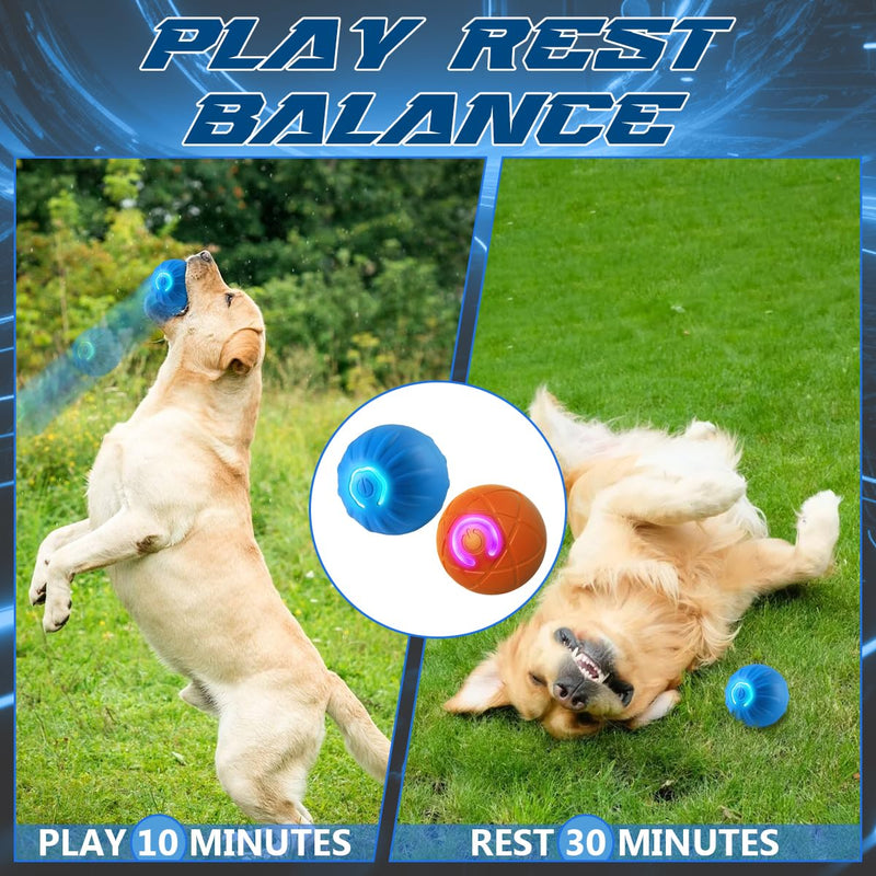 Shaky Ball Toy for Dogs, Shaking Dog Ball, Interactive Dog Ball, Vibrating Ball for Dogs, Automatic Moving Dog Toy Ball for Small Medium Large Dogs, USB Rechargeable (Blue) Blue - BeesActive Australia