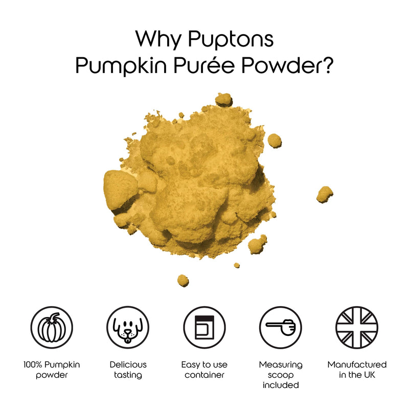 puptons Pumpkin Powder for Dogs | 100% Pumpkin Purée Powder | Rich in Prebiotics & High Fibre Dogs Gut Health & Healthy Stools | Natural Food Topper, Made in UK (250g) 250g