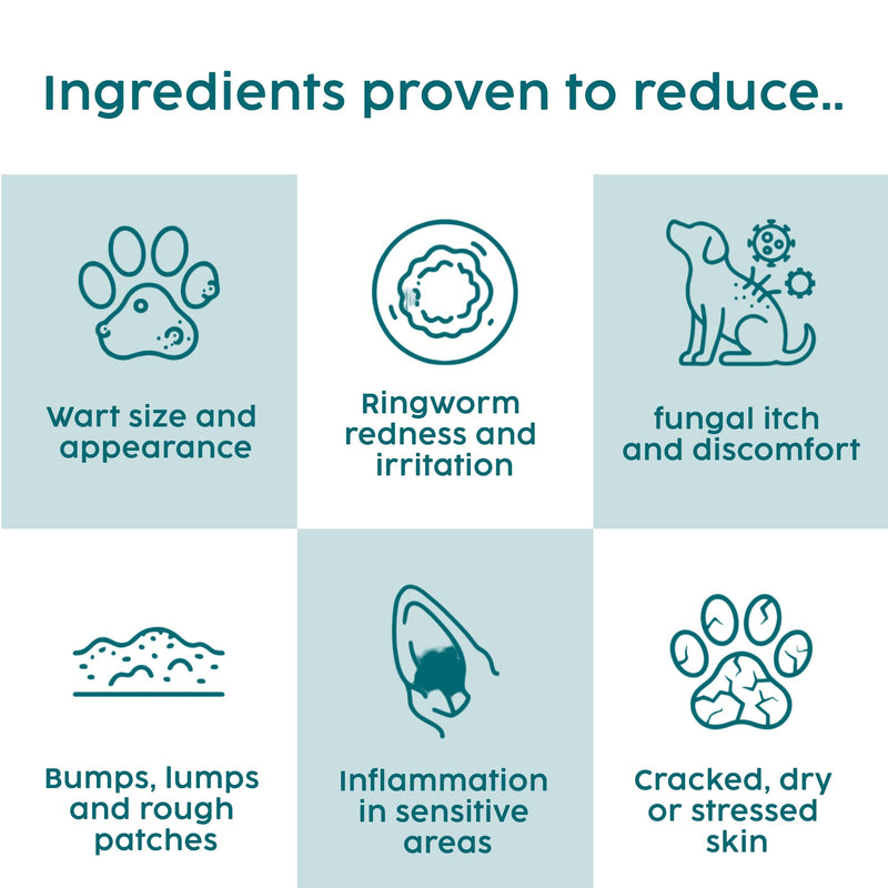 Antifungal Thuja Cream for Dogs & Cats - Dog Wart Removal Treatment, Ringworm Irritation Skin Treatment for Dogs, Verruca, Sarcoid & Abnormal Skin Growth, Fully Natural, UK Made | 150g