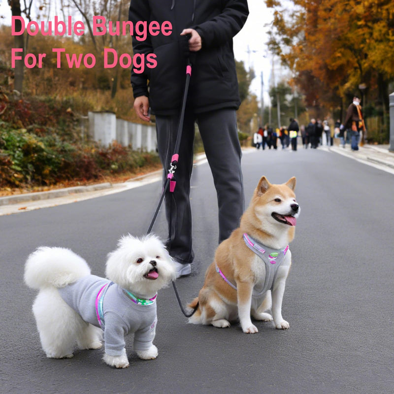 Double Dog Leash for Two Dogs,Dual Hands Free Dog Leashes,360 Swivel No Tangle Walking Leash,Soft Padded Handle,Adjustable Crossbody Waist Rope for Small Medium Large Dogs,Black Black - BeesActive Australia