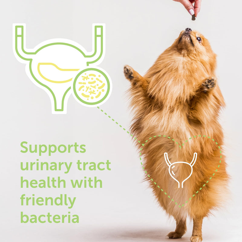 Flo Dog Cranberry Supplement for Dogs by Veterinarian Recommended Solutions - Bladder Control for Dogs - Urinary Tract Support - Cranberry Chews - Immune & Gut Support