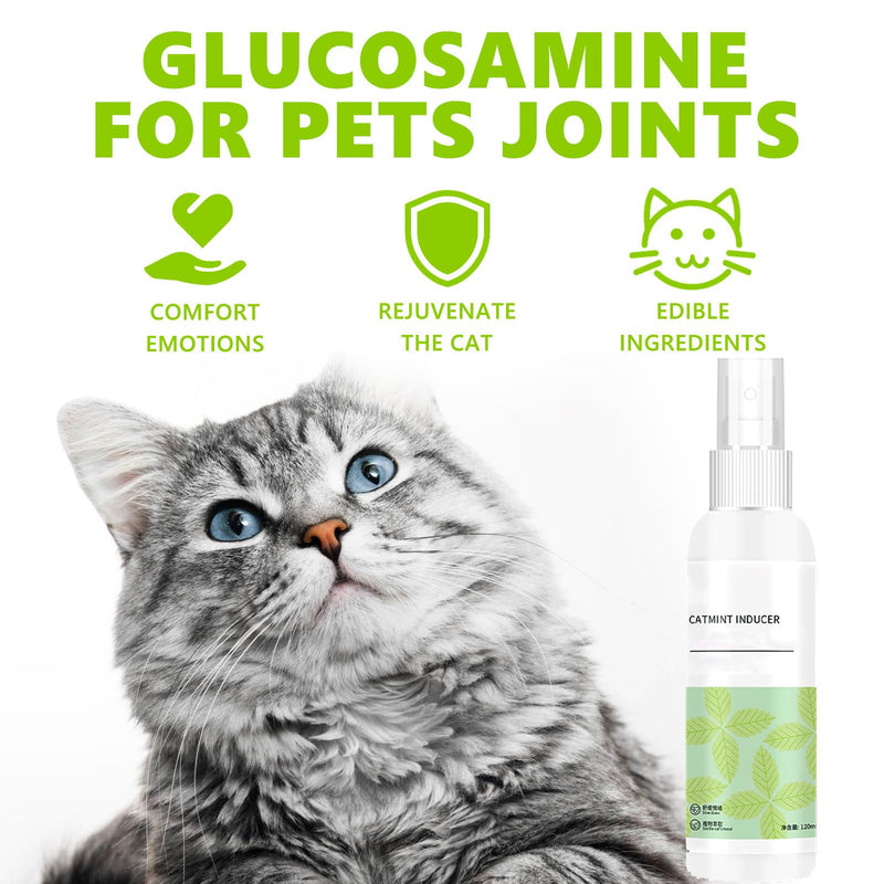 Catnip spray, catnip spray as a sedative for cats, cat mint, anti-stress cat sedative, purely natural anti-stress spray for relaxation and calming of cats - BeesActive Australia