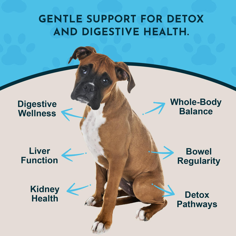 Animal Essentials Body Cleanse Liver Support for Dogs & Cats, 2 fl oz - Made in USA, Alcohol Free, Healthy Immune System 2 Fl Oz (30 ml)