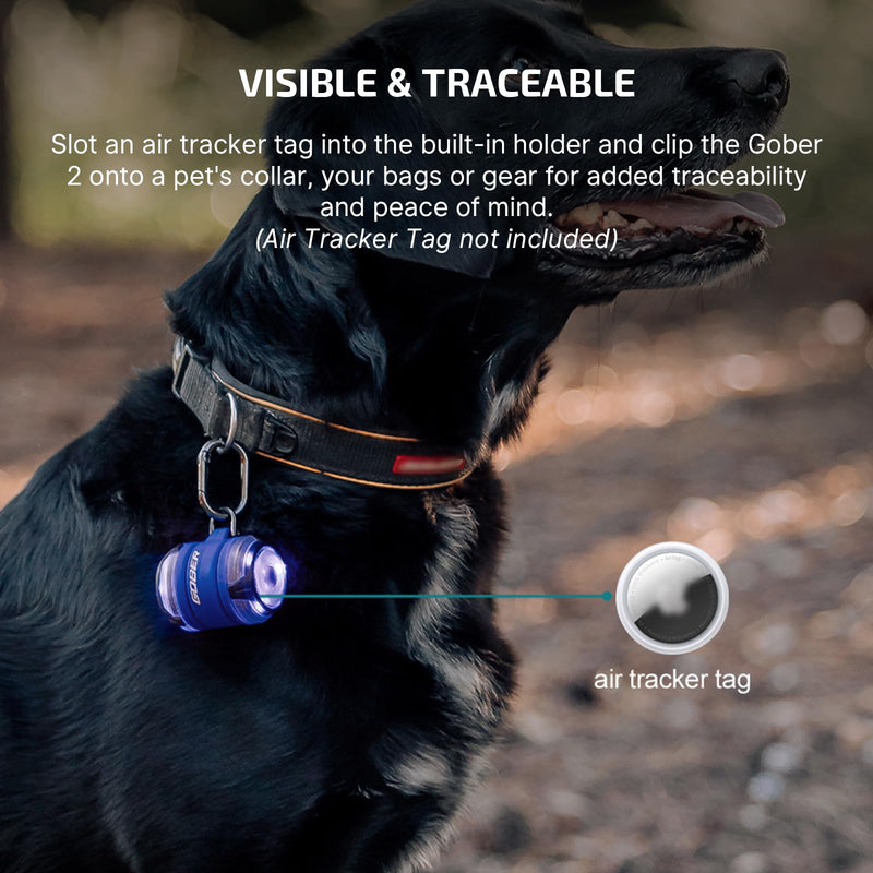 OLIGHT Gober 2 Safety Light, High Visibility Beacon LED with 6 Color Settings and 4 Lighting Modes, USB-C Rechargeable Flashing Warning with Clip for Running, Cycling, Camping, Dog Walking(Blue)