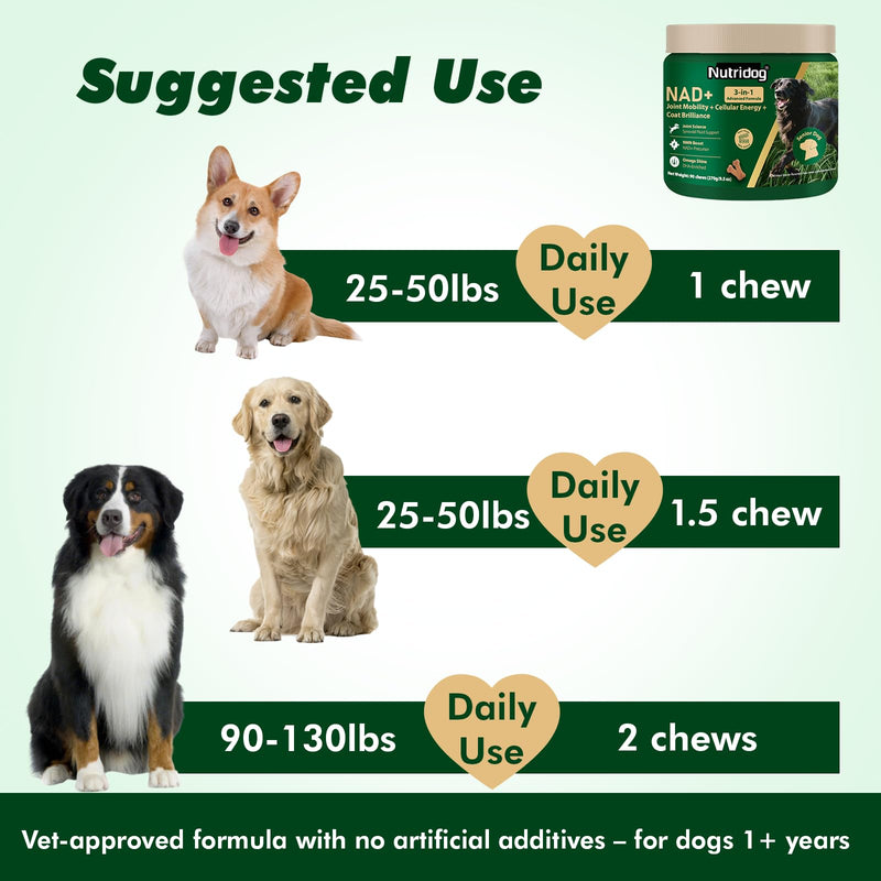 NMN Supplement for Dogs NAD+ Booster - Anti-Aging & Longevity Soft Chews for Senior Dogs with Resveratrol, CoQ10, Glucosamine & Omega-3-3-in-1 Cellular Energy, Joint & Skin Support Bacon 90Ct