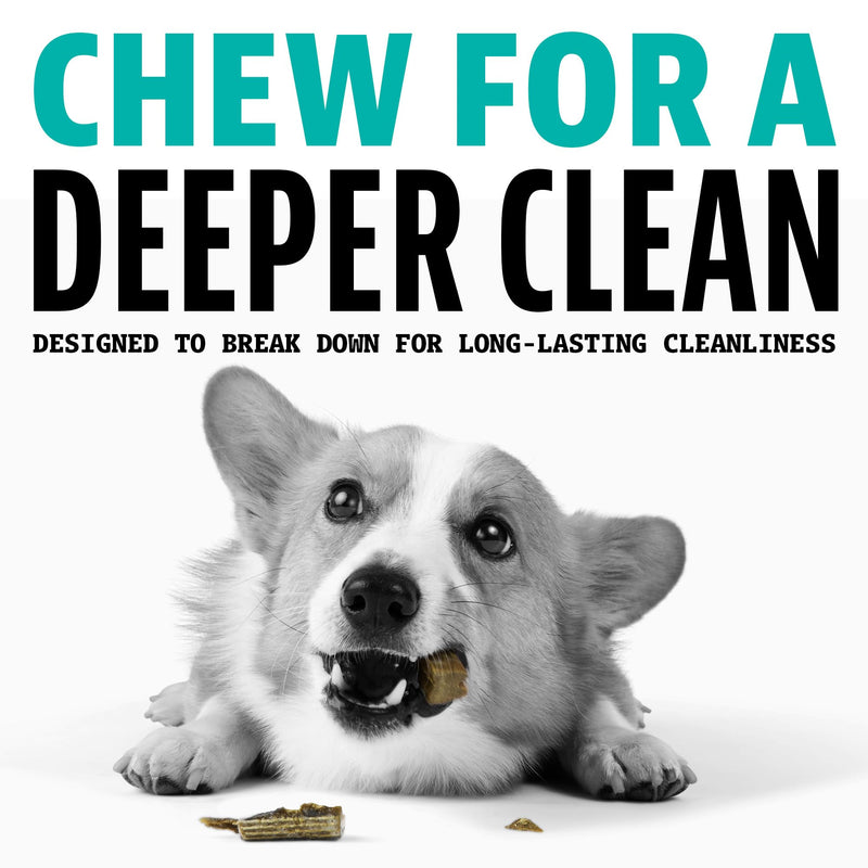 Dinovite Dental Chews for Dogs, Triple Action Dental Dog Treats for Small Breeds, Clinically Proven to Prevent Plaque & Tartar While Freshening Breath, Fresh Mint Flavor, Made in USA, 30 Count Small Dogs (15-25 lbs)