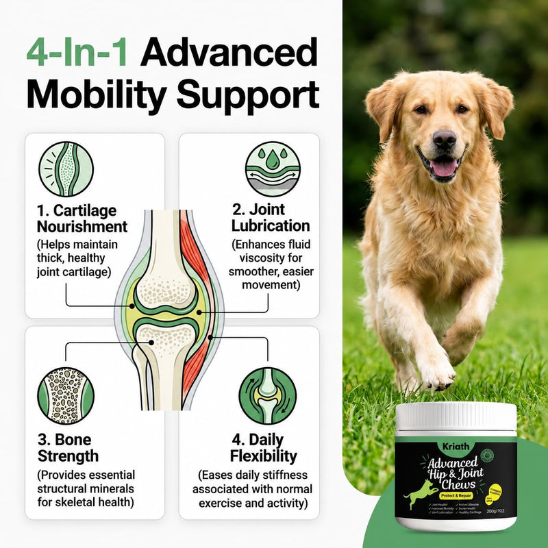 Advanced Hip & Joint Chews for Dogs, Dog Joint Supplement with Glucosamine Chondroitin MSM & Collagen, Mobility Support, Healthy Cartilage and Joint Function, Chicken Flavor Soft Chews, 200g