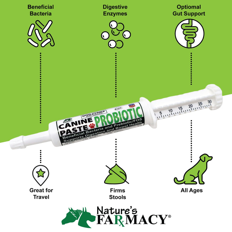 Dogzymes Canine Probiotic Paste Beneficial Bacteria-Enzyme 2.3 Billion CFU/gm Saccharomyces boulardii Organic Dried Honey Powder (15 Gram) 15 Gram