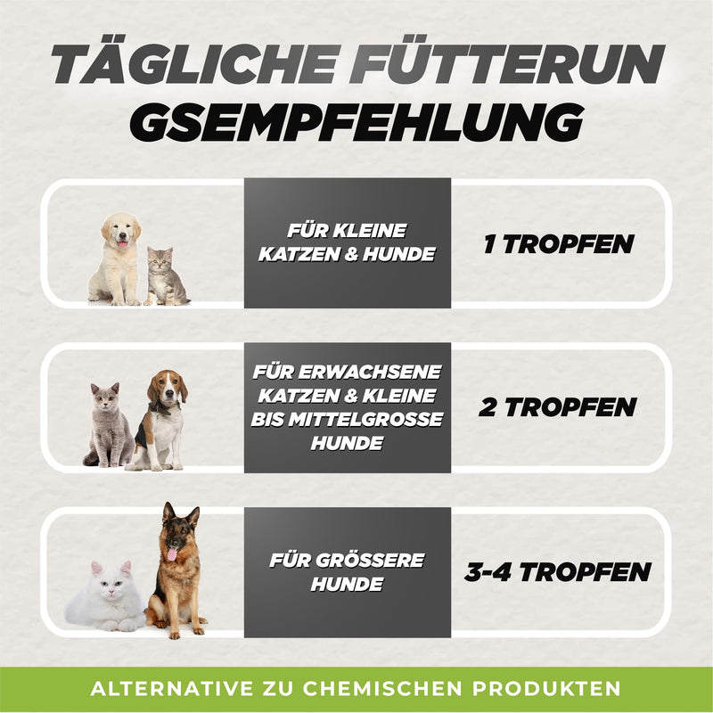 BUDDY'S BEST 50ml Spot On Worm Treatment Cat and Dog - Worm Treatment Dog and Cat - Dewormer Cats and Dogs - Worm Treatment Cats All Worms - Deworming Dog - BeesActive Australia