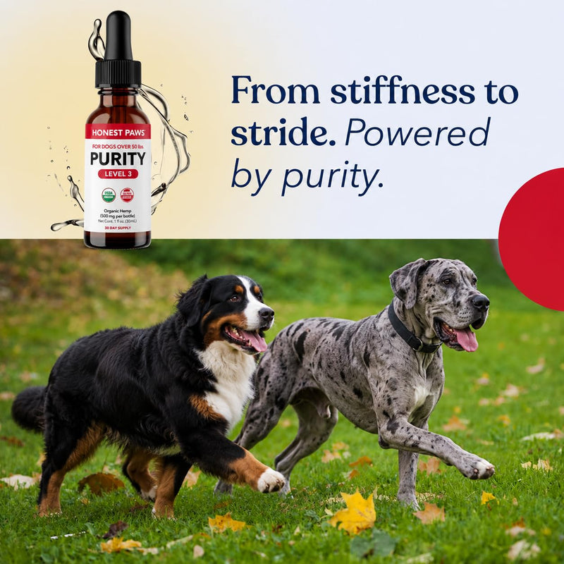 Honest Paws Hemp Oil for Dogs - Natural Hemp Seed Oil Drops Rich in Omega 3 6 9 - May Help Support Calm Behavior, Physical Comfort & Overall Wellness - Made in USA Level 3