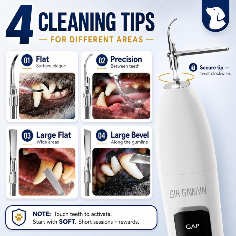 SIRGAWAIN Pet Ultrasonic Dental Cleaner — Plaque, Tartar & Stains Remover, 4 Tips, 3 Modes, LED, Contact-Activated & Smart Touch Protection, Complete Cleaning Kit for Dogs & Cats White