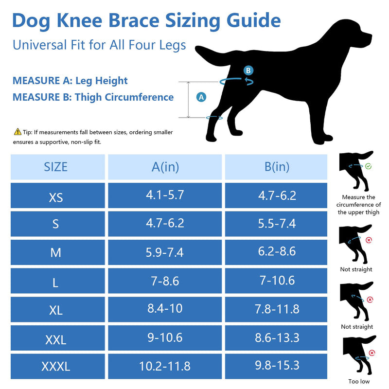 Dog Knee Brace for Torn Acl Hind Leg - Adjustable Stabilizing Support for Ccl Injury, Luxating Patella, Hind Leg Pain & Arthritis - Rear Leg Limp Support (XXL) XXL