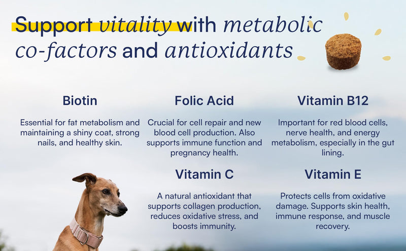 15-in-1 Multivitamin Chews for All Dogs, Support Metabolism with B Vitamins, Zinc, Biotin, Vitamin C & E, Bones & Muscle Recovery, Immunity Support - 60 Soft Chews, BROONO Vitamineral Complex