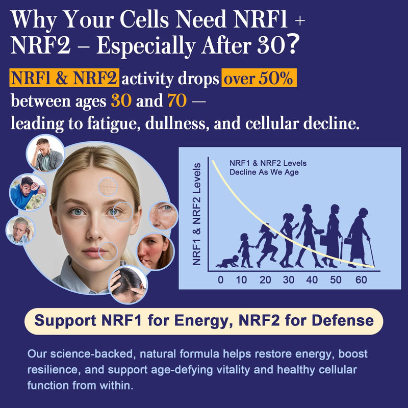 NRF1 & NRF2 Supplement 1500mg | Dual Pathway Antioxidant Formula with CoQ10, Curcumin, Trans-Resveratrol & Ashwagandha | Cellular Energy & Wellness Aging | 60 Capsules 60 Count (Pack of 1)