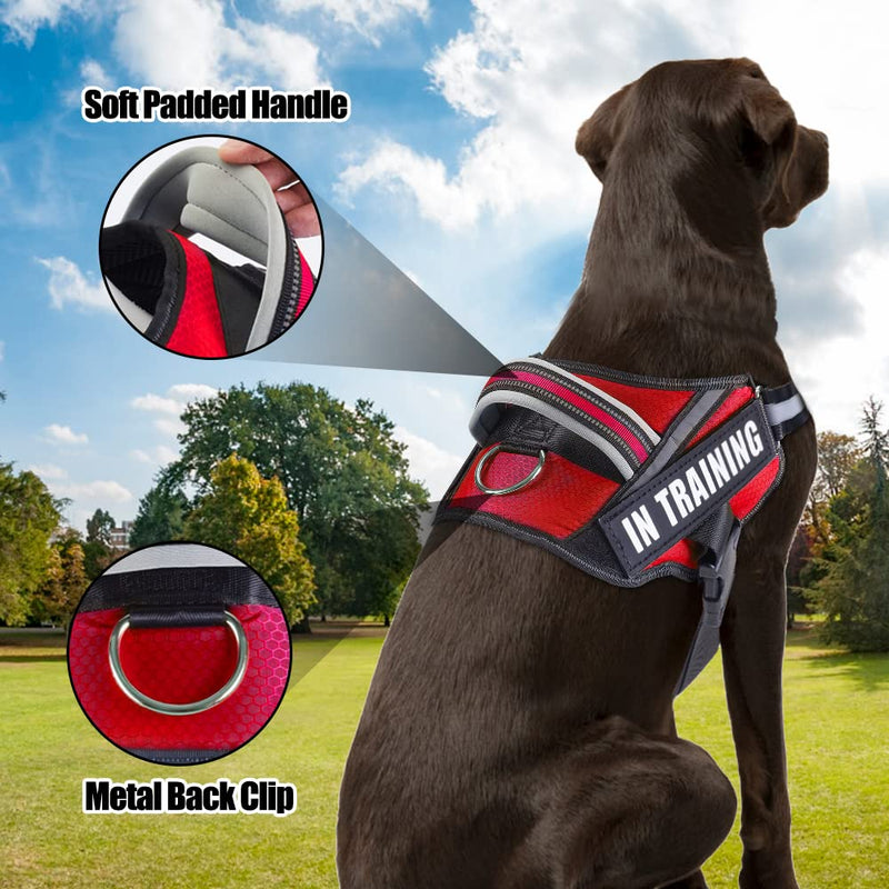 Service Dog Vest Harness and Leash Set, Animire in Training Dog Harness with 10 Dog Patches, Reflective Dog Leash with Soft Padded Handle for Small, Medium, Large, and Extra-large Dogs (RED,S) S Red - BeesActive Australia
