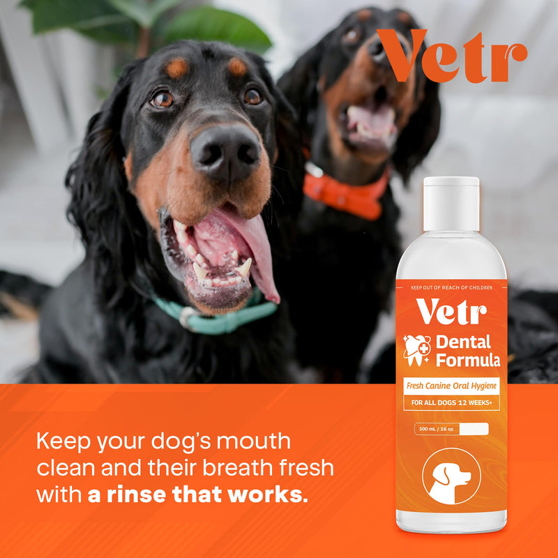 Vetr Dental Formula for Dogs - Peppermint Flavored Oral Care Liquid Additive with Enzymes for Breath and Teeth Support - Vet-Formulated in USA (16 oz) 16 oz