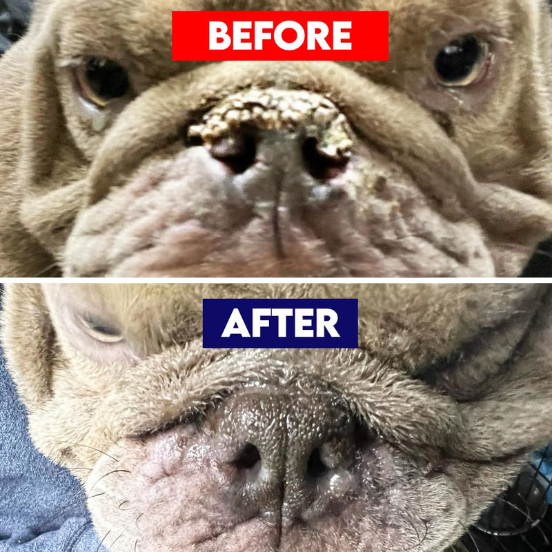 Dog Nose & Paw Balm (4 oz) - RuffNose Natural Moisturizer with Shea, Coconut & Cocoa Butter - Helps Condition Dry, Rough Paws and Noses - Suitable for Daily Use, All Breeds - Made in the USA 4 oz.