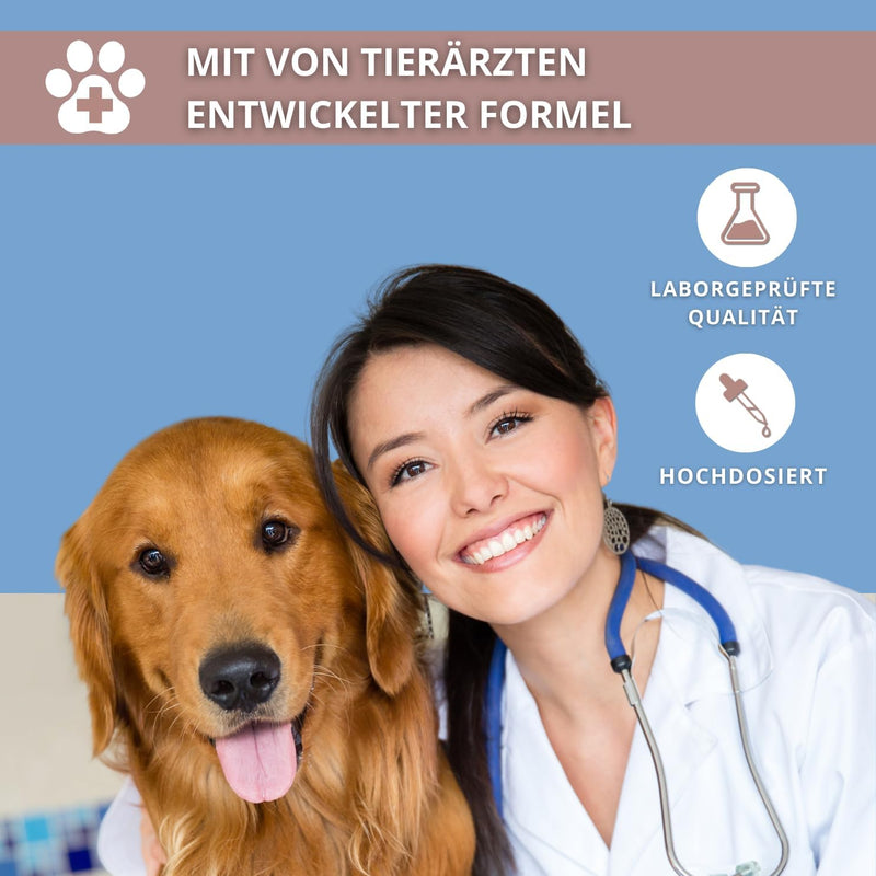 NaturRuf high-dose joint powder for dogs with green-lipped mussel, MSM, glucosamine - support of joint metabolism in osteoarthritis - alternative to joint tablets - high acceptance - BeesActive Australia