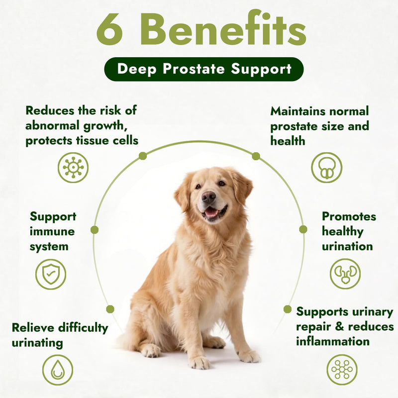Prostate Urinary Support Drops for Dogs, Saw Palmetto Pumpkin Seed Extract | for Male & Female Dogs & Cats, Supports Bladder & Urinary Comfort, Coat & Hormone Support, Eases Incontinence & Straining