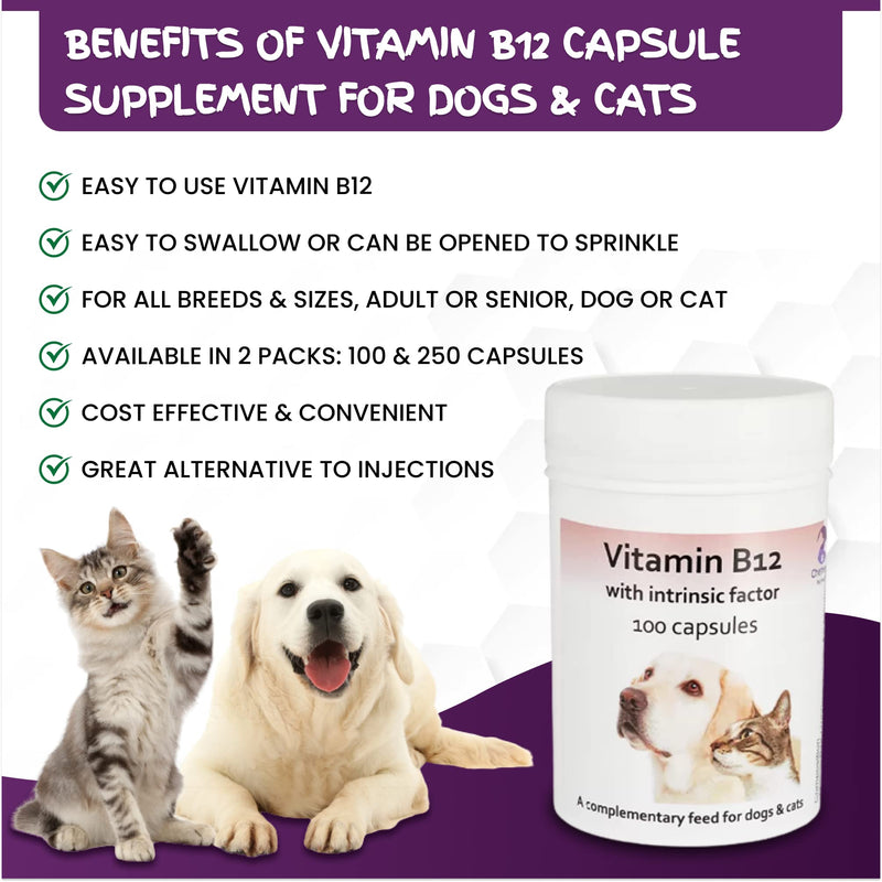 Vitamin B12 with Intrinsic Factor & Folic Acid by Chemeyes - Capsule Supplement for Dogs & Cats - Great Alternative to Vitamin B12 Injections - 1 Capsule Per 25kg Body Weight Per Day (100 Capsules) 100 Capsules