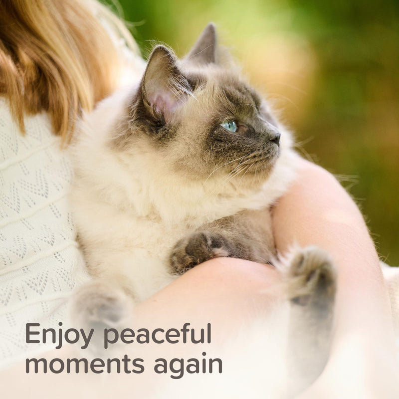 Beaphar – StressLess Herbal Calming Spot-On for Cats – Reduces Stress & Anxiety at Home and On-the-Go – With Valerian Extract – For Cats & Kittens – 3 x 1 Week Doses –Easy-to-Use Spot-On Pipettes 3 Count (Pack of 1)