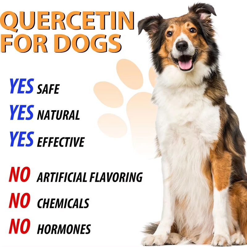 Quercetin for Dogs - Allergy Relief Support - Liquid Drops Herbal Supplement - Immune Boost, Antioxidant - 60 ml