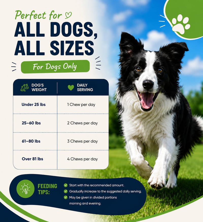 Advanced Hip & Joint Chews for Dogs, Dog Joint Supplement with Glucosamine Chondroitin MSM & Collagen, Mobility Support, Healthy Cartilage and Joint Function, Chicken Flavor Soft Chews, 200g