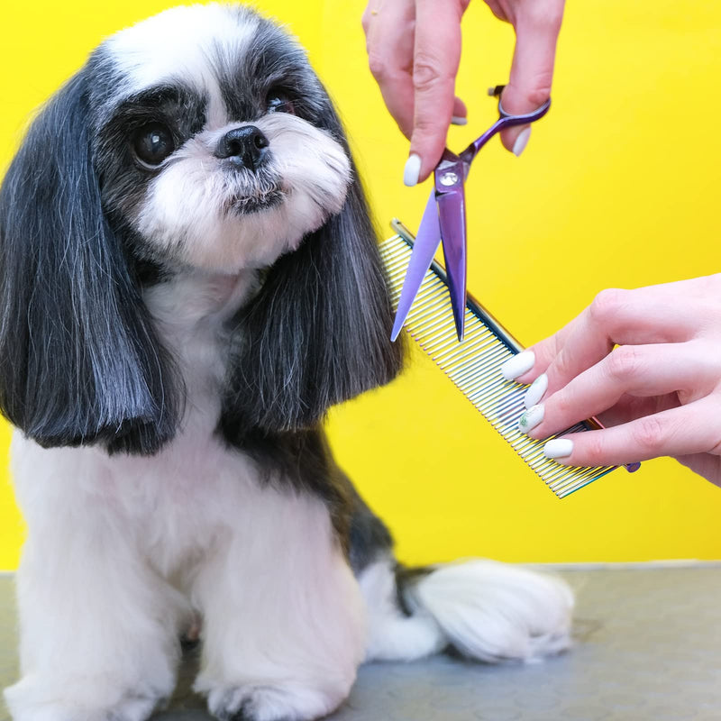 JIANYI Dog Combs for Grooming, Stainless Steel Cat Comb for Removing Tangles and Knots, Professional Grooming Tool for Long or Short Haired Dog, Cat and Other Pets (2 Pack) - BeesActive Australia