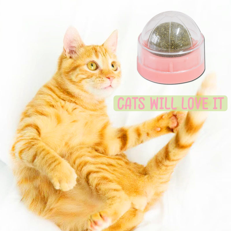 Pink Catnip Balls for Cats - 3PCS Wall Catnip Toys Edible Cat Toys for Cat Lick Safe Healthy Kitten Chew Toys Teeth Cleaning Dental Cat Toys - BeesActive Australia