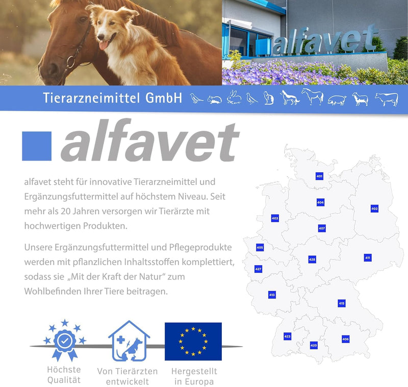 alfavet EnzymoPank Powder for Dogs & Cats (100 g) – Digestive Support Supplement – For Exocrine Pancreatic Insufficiency (EPI) – With Enzym-Support Formula & Vitamin B12 Pig 100GR
