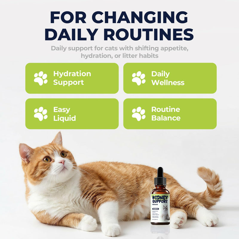 Cat Kidney Support for Cats, Kidney & Urinary Support Liquid Drops, Helps Maintain Hydration Balance, Appetite & Daily Comfort for Cats with Changing Drinking & Urination, 2 fl oz