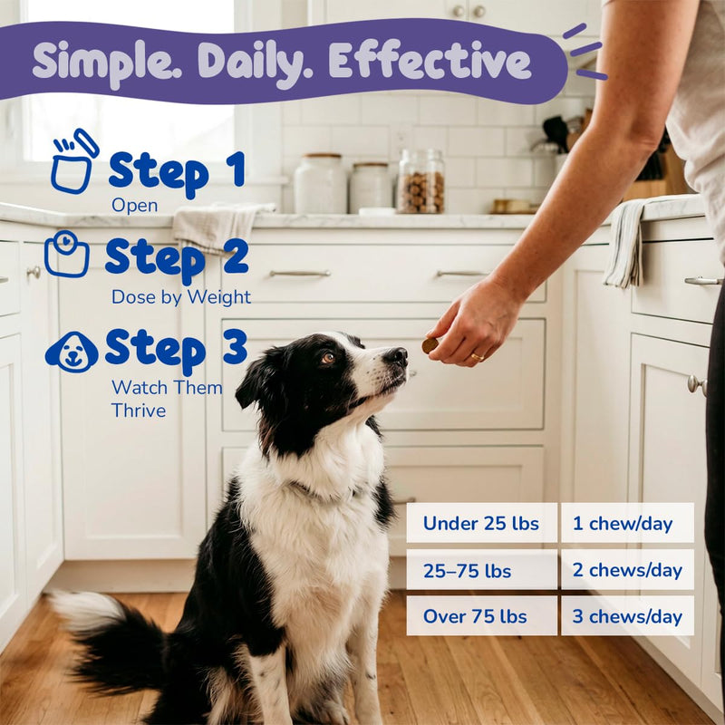 Hip and Joint Supplement for Dogs - Extra Strength Glucosamine for Dogs with MSM, Chondroitin & Vitamin C - Joint Pain Relief & Dog Mobility Soft Chews - 90 Bacon Flavored Chews