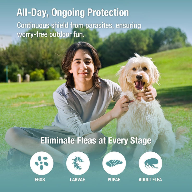Flea & Tick Collar 2-Pack Gray, Protects from Biting Insects, Adjustable Fits Both Dogs & Cats, Built-in Plant Based Formula, Slow Release Lasting Protection, Waterproof Grey - BeesActive Australia