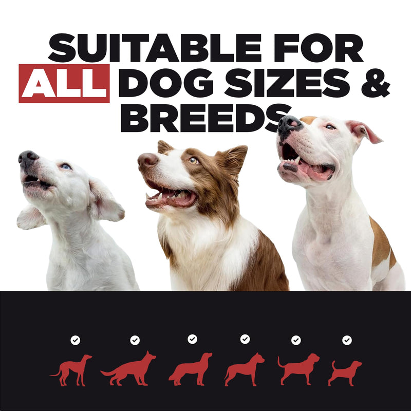 ProDog Flexx Joint & Mobility Powder for Dogs - 11 Active Ingredients | Glucosamine MSM Green Lipped Mussel | Senior, Adult & Working Breeds | 120g, 30 Servings Small - 120g