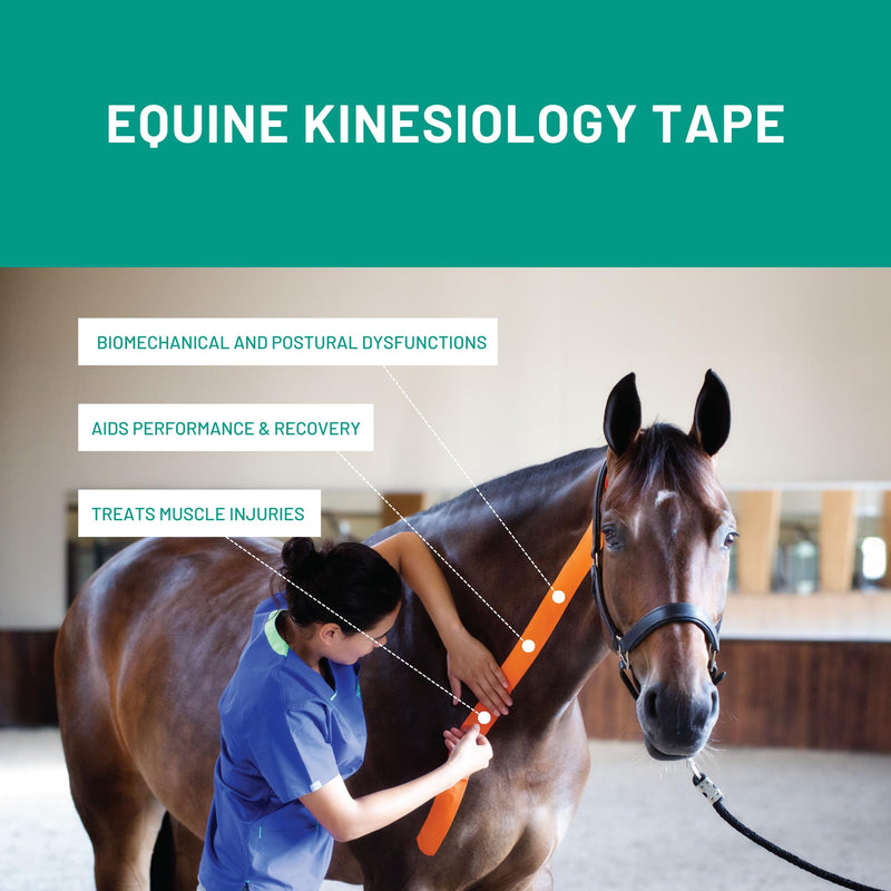 VETKIN VetkinTape Canine & Equine Kinesiology Tape | Veterinary Medical Tape | Vet Wrap for Joint Support & Pet Care | Self Adhesive Bandage Wrap | Black | 2.4in | (Pack of 1)