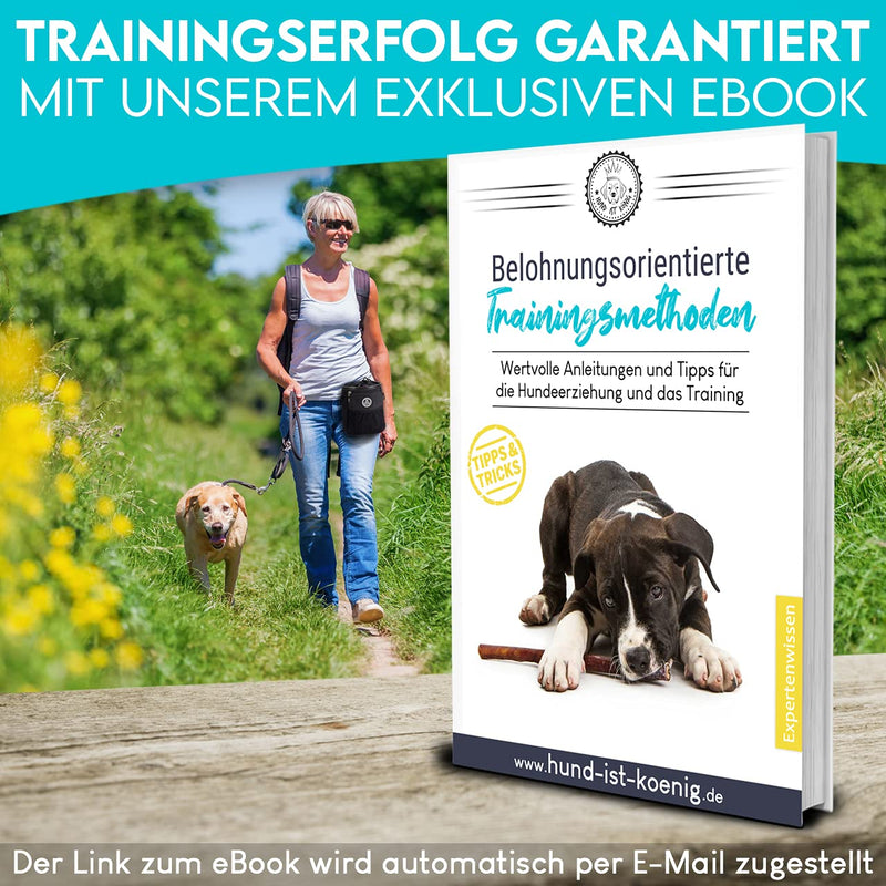 DOG IS KÖNIG® Premium treat bag for dogs - the all-rounder - robust food bag for dogs with plenty of storage space for walking and dog training - with poop bag dispenser and training ebook Black: 16 x 18 x 6cm (W x H x D) - BeesActive Australia
