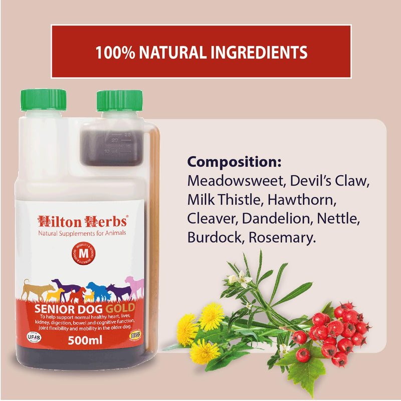 Hilton Herbs Senior Dog Gold Natural Supplement. 100% Natural Ingredients. Supplement for Older Dogs. For Dogs with Stiff Joints, Hip Issues and the Heart. With Devil’s Claw and Hawthorn. 250 ml