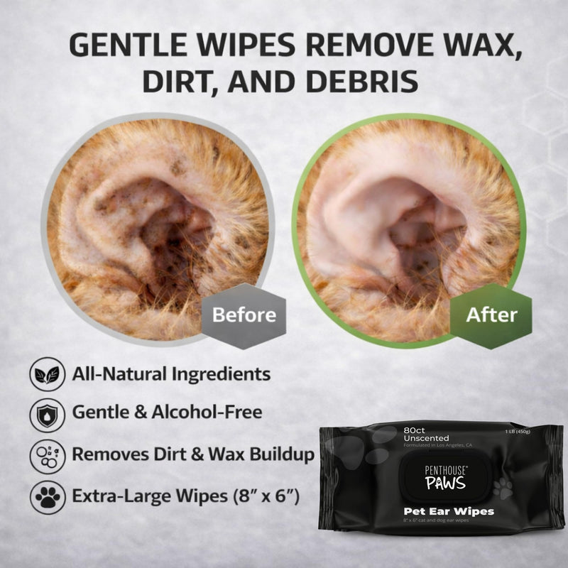 PENTHOUSE PAWS Pet Ear Wipes for Dogs & Cats, Unscented Ear Cleaning Wipes with Aloe Vera & Witch Hazel, Alcohol-Free Extra Large 8”x6” Wipes for Removing Wax, Dirt & Odor, 80 Count
