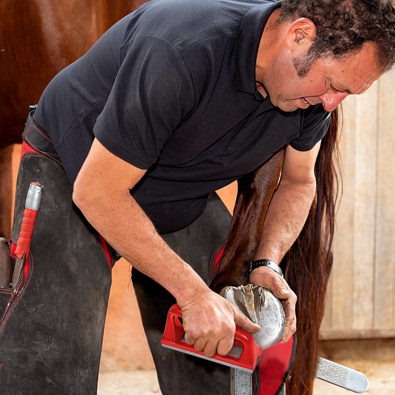 Goat Hoof Rasp File, Farrier Rasp for Small Hooves, Goat and Small Animals Red - BeesActive Australia
