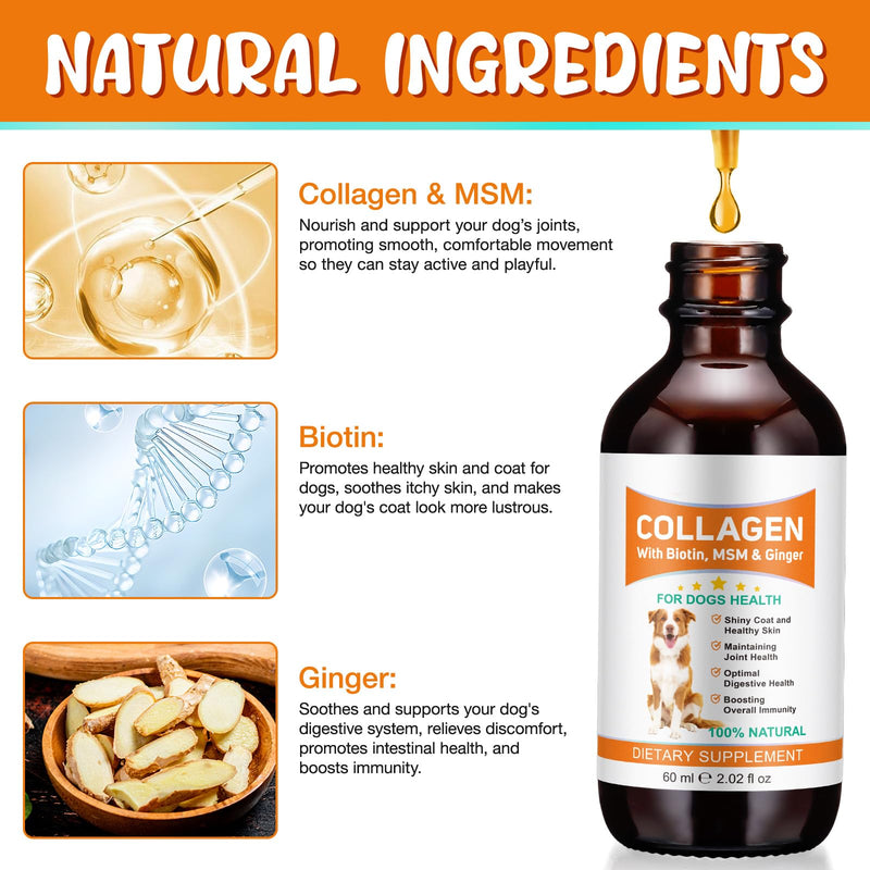 Liquid Collagen for Dogs | Joint Supplement for Dogs Skin & Coat | Itchy Relief & Digestive Health Support | Dog Collagen with Biotin, MSM & Ginger | 60ml Dog Supplements for Hip & Joint Care (2) 2
