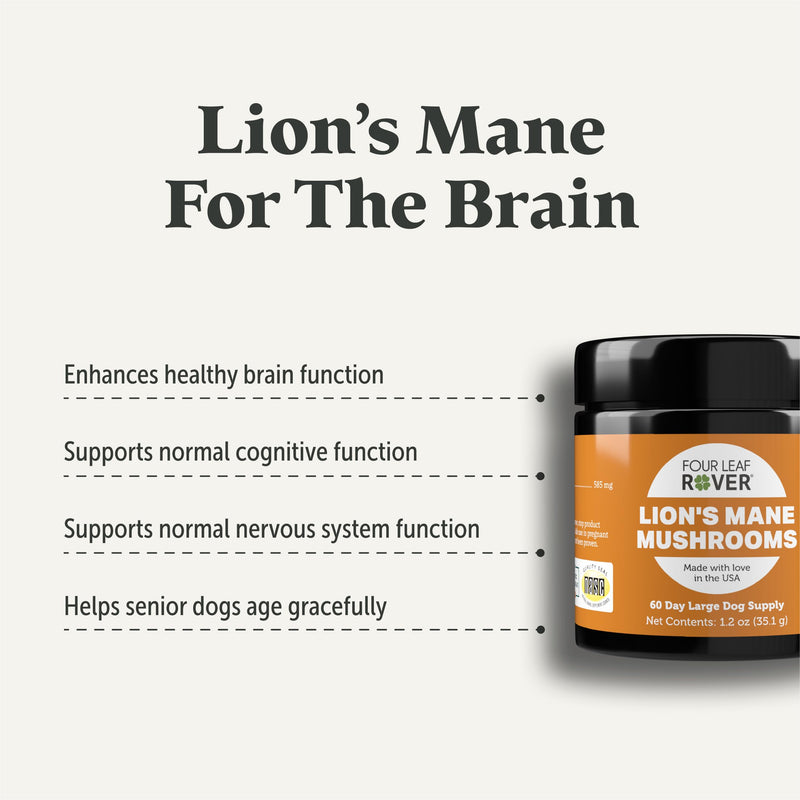 Lion's Mane Mushrooms for Dogs - Supports Healthy Brains and Nervous Systems in Dogs of All Ages - Organic Whole Mushrooms - 3rd Party Tested - 60 Day Large Dog Supply 1.2oz - PawsPlanet Australia