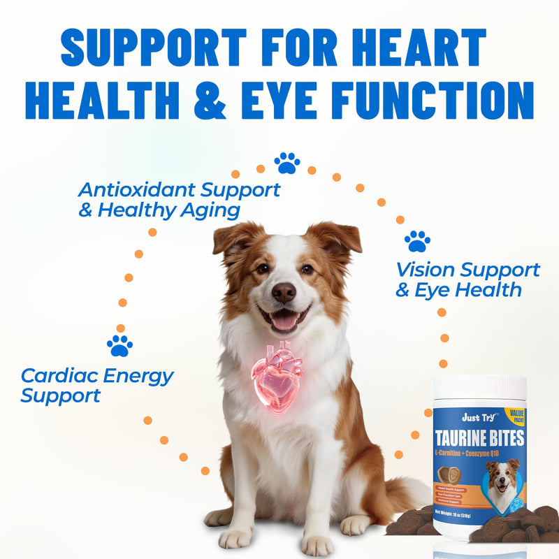 Just Try 18 oz. Taurine Supplement Coq10 for Dogs with L-Carnitine & Coenzyme Q10 Support Dog Heart, Immune and Eyes Health 18 Ounce