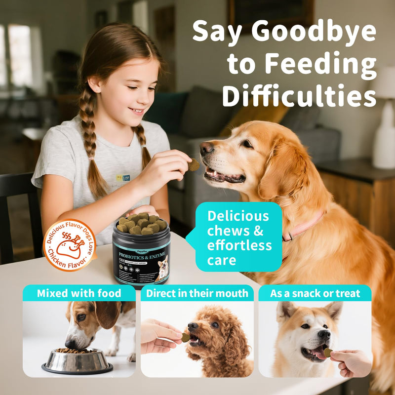 Probiotics for Dogs, Digestive Enzymes & Pumpkin Fiber for Gut Health and Bowel Support, Dog Supplement for Gas Relief & Constipation, 10B CFU with 5 Prebiotics & 5 Enzymes, 90 Count Chicken Flavor 90 Count (Pack of 1)
