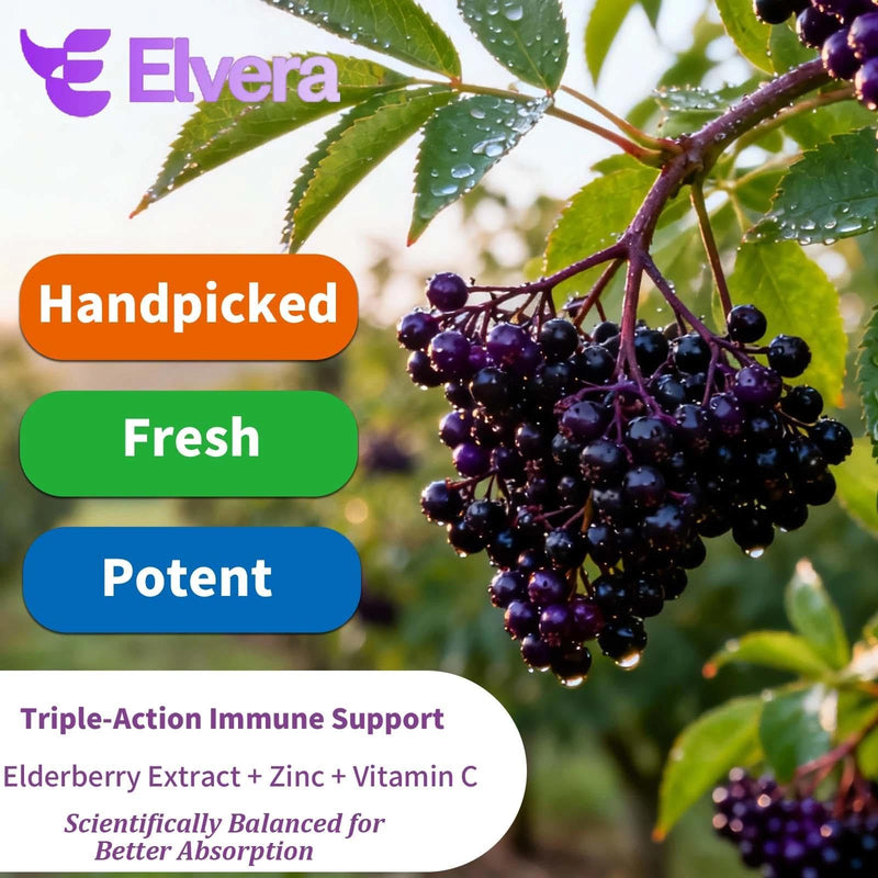 Elderberry - Elvera Elderberry Gut Support, 1200mg Elderberry Extract, Vitamin C, Zinc for Digestive Balance, Immune Support | Vegan, Non-GMO | 120 Soft Capsules 1pc