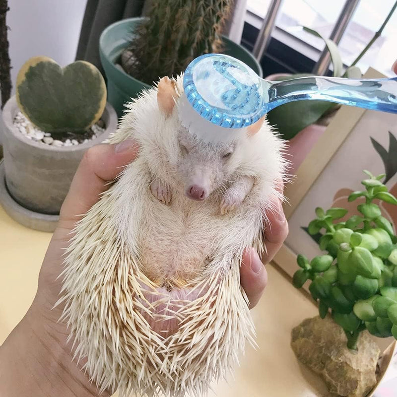 3 Pck Hamster Bath Brush, Reptile Cleaning Supplies,Massage Combs for Hedgehog Turtle blue - BeesActive Australia