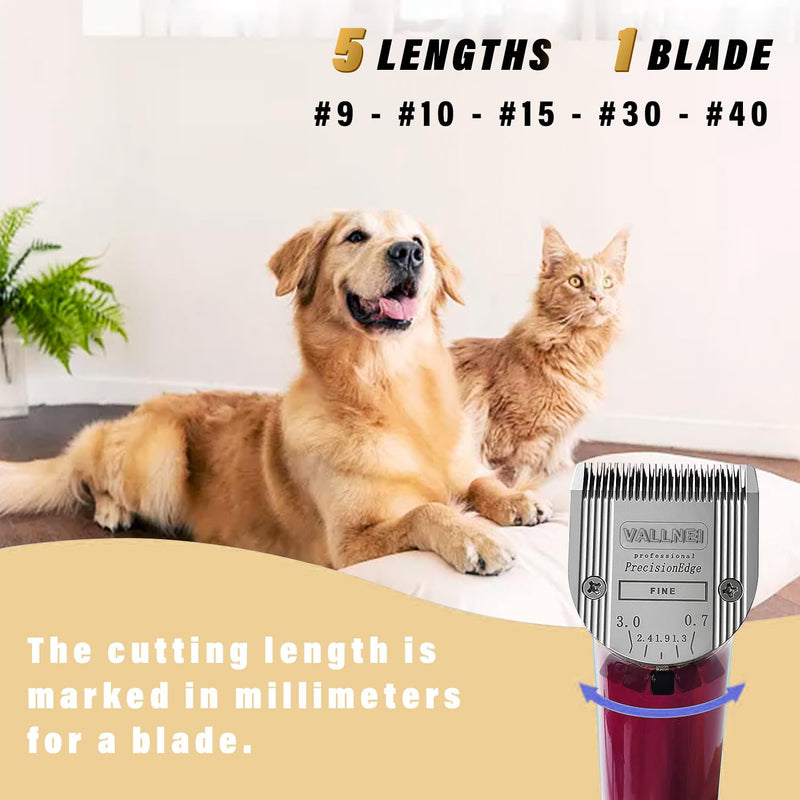 Detachable Adjustable Pet Dog Grooming Clipper 5-in-1 Blade 3 Pack - BeesActive Australia